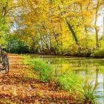 Abeille - 2 Et 1 Canape-lit, 1er Etage, Parking *