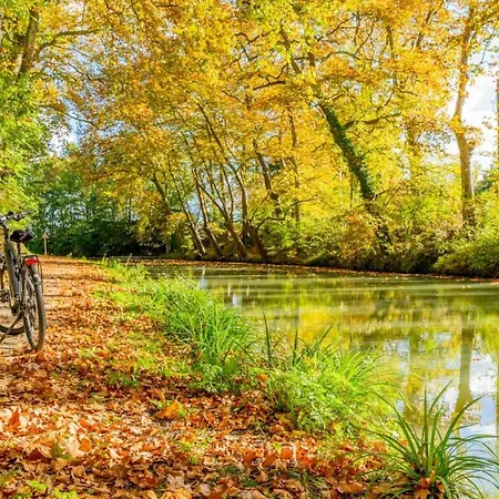 Abeille - 2 Et 1 Canape-lit, 1er Etage, Parking *