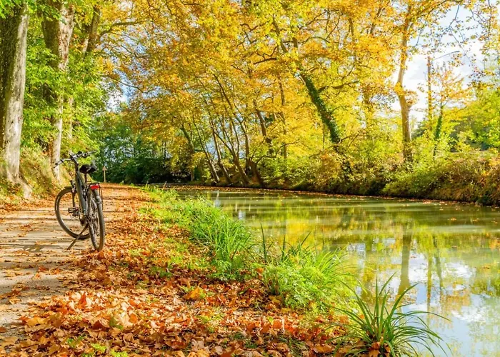 Abeille - 2 Et 1 Canapé-lit, 1er étage, Parking *